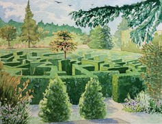 Maze