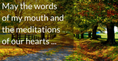 May%20the%20words...%20670x350