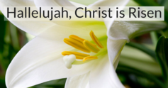 Hallelujah%20 %20christ%20is%20risen%20%281%29