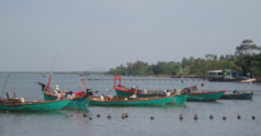 Fishing%20boats