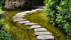 Garden%20path