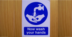 Now%20wash%20your%20hands