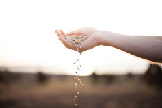 Stewardship
